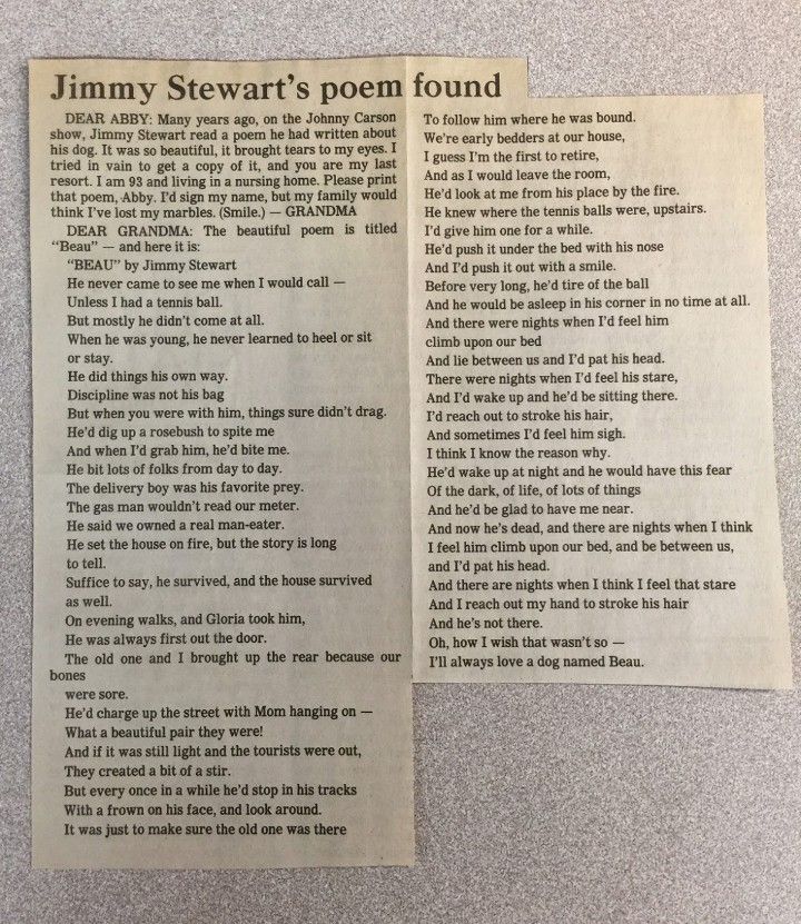 Jimmy Stewart says farewell to his dog named Beau. Pet funerals, pet memorials, pet burials, pet tributes, and pet appreciation.