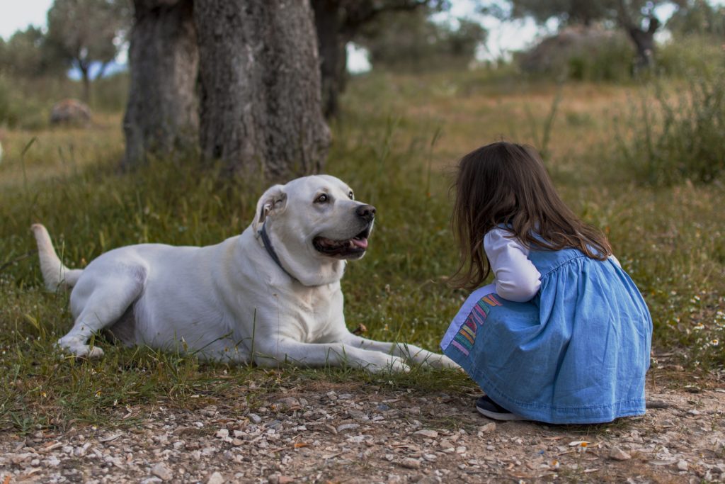 dog and girl